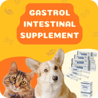 Pet Health Ideas to secure Shouldn’t Canine Putting out flowers